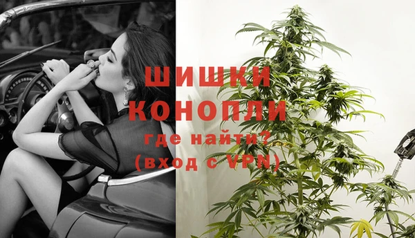 молекула духа Бугульма