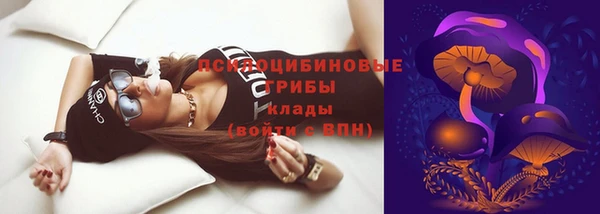 молекула духа Бугульма