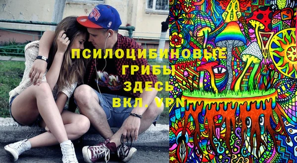 молекула духа Бугульма