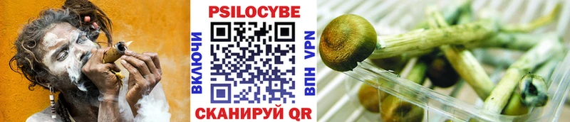 Купить  Малгобек  Псилоцибиновые грибы мухоморы 