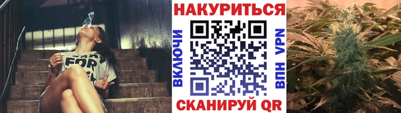 Конопля семена  Купить где  Малгобек 